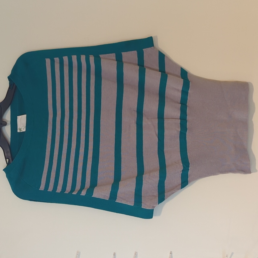 Lush Teal Green Camel Striped Dolman Batwing Short Sleeve Sweater Top Size S